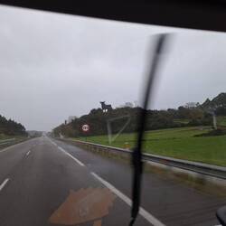 Der erste spanische Stier 🐃