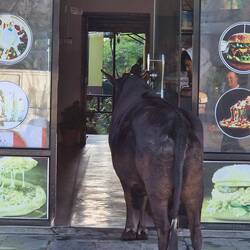 Fancying some breakfast