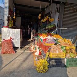 A good- sized bunch of bananas