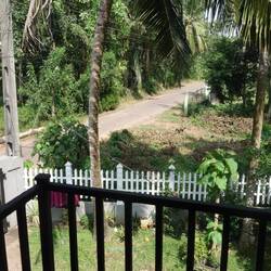 View from my balcony