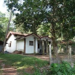 A fairly typical house