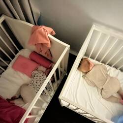 Irgendwie suchen sie sich doch gegenseitig 🥰