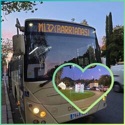 Mit dem Bus geht's wieder in Weihnachtsfeeling zurück zum Stellplatz.