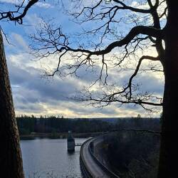 Staumauer der Dreilägerbachtalsperre.