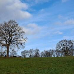 Das Wetter hält sich mal wieder nicht an die professionelle Vorhersage!😎