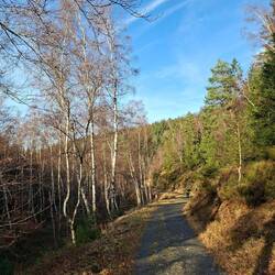 Immer schön entlang vom Dreilägerbach