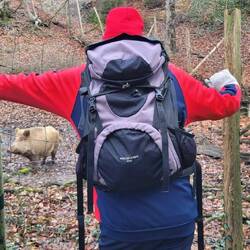 Wer beobachtet wen?🤔