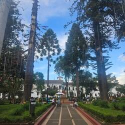 Parque Caldas im Zentrum