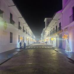 Zu Weihnachten dekoriert