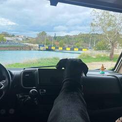 Lesley liebt das Fenster schauen 👀