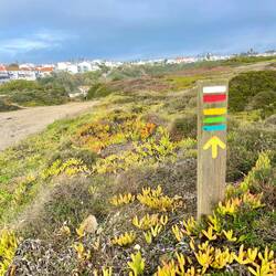 First yellow arrow seen on the trip!!!