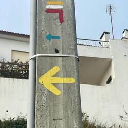 Then they just kept on coming