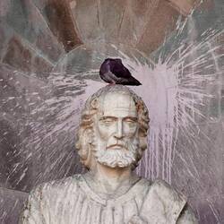 Da hat der Vogel den Kopf verloren, heilige Schein schei....