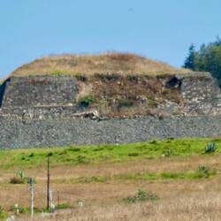 Von weitem haben wir sie gesehen