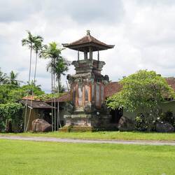 Museumsgarten / Museum Garden