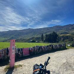 Cardrona