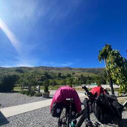 Cardrona