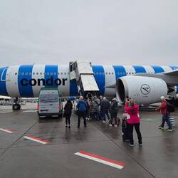 Ringelsockenflieger CONDOR - Argentinisches blau-weiss - ja wir spielen nächstes Jahr gegen ARG