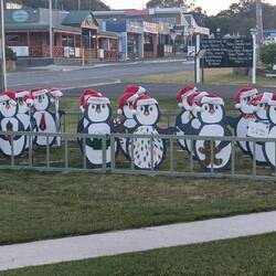 Ersatzpinguine 😜😂