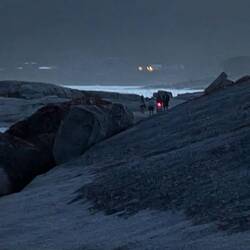 Rotlicht zum Schutz für die Pinguine