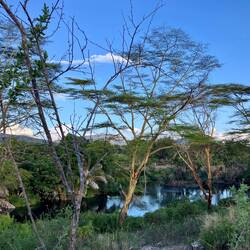 Mzima Springs. die Trinkwasserquelle Mombasas