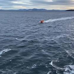 ...out on manoeuvres!