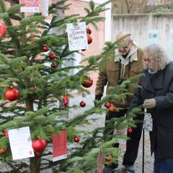 The musicians checking out the Christmas tree decorated with Carol's, some of which Tim doesn't know