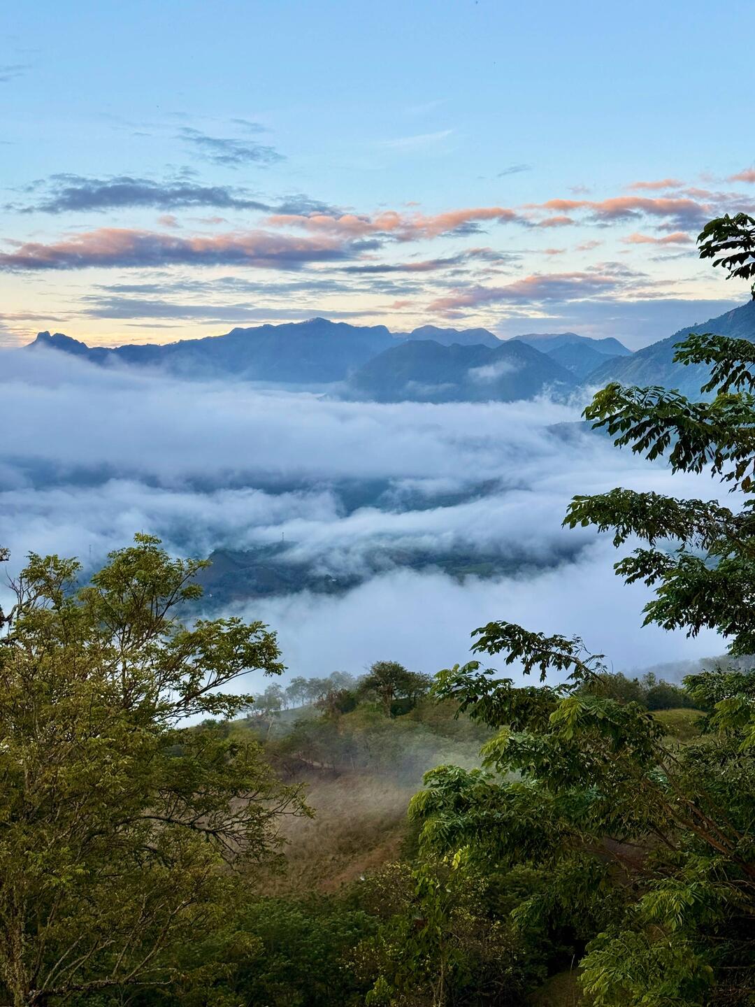 Morgennebel