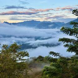 Morgennebel