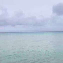 ..ewig lang am Meer entlang 🚐😍