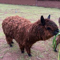 Darf ich vorstellen: George H.