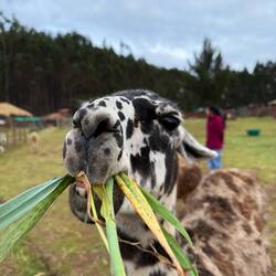 "...aus Winsen an der Luhe. Sie...."