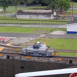 Muli -halten die Schiffe links und rechts