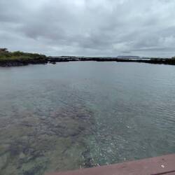 Die Lagune ist bei Ebbe vom Meer abgeschnitten und die darin verweilenden Tiere bis zur Flut gefange