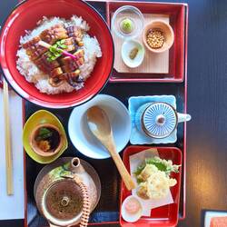 Excellente anguille ochazuke