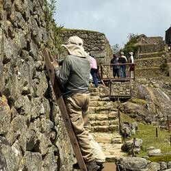 Es wird gekehrt, gezupft und gerupft. Wer das bei den Inkas wohl machte? Oder hatten die Glyphosat?