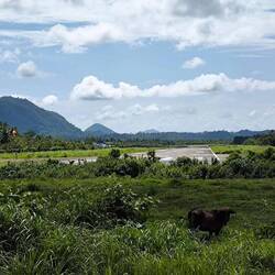 Landebahn des Flughafen Sayak in Del Carmen