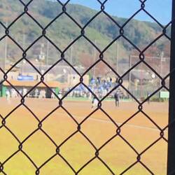 Watching kids baseball game