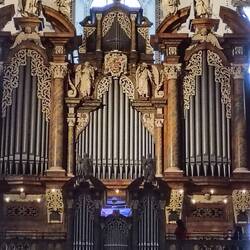 The large organ