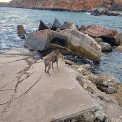 Immer zu vorderst unser Adrenalinjunkie.