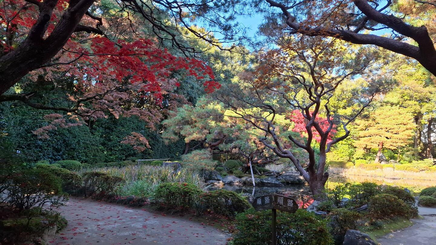 Heian Jingu Shrine garden