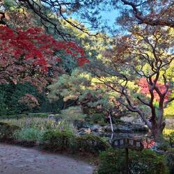 Heian Jingu Shrine garden