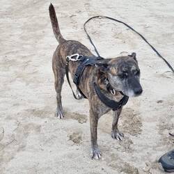 Nara findet den Wind nur mässig toll.