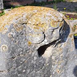 Un satiro intrappolato in un ninfeo per l'eternità?