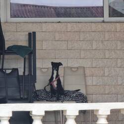 Ich passe hier ganz gut auf.