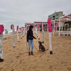 Willst du für immer mit mir kuscheln?