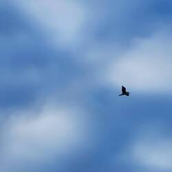 A welcome sight, you don't get many of these...