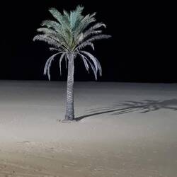 Im Hintergrund der lange Strand von Gandia
