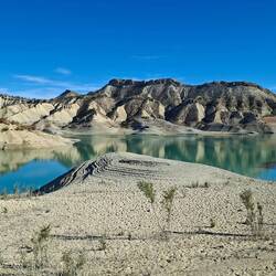 Et à partir de maintenant, rivez vos yeux sur la scène du cirque FranCri, le spectacle commence !