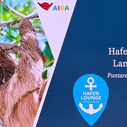 Ein Faultier, Wahrzeichen Costs Ricas